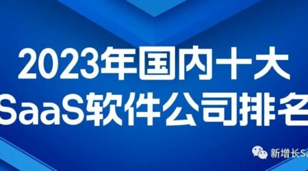2023年国内十大SaaS系统公司排名