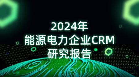 2024年能源电力企业CRM研究报告