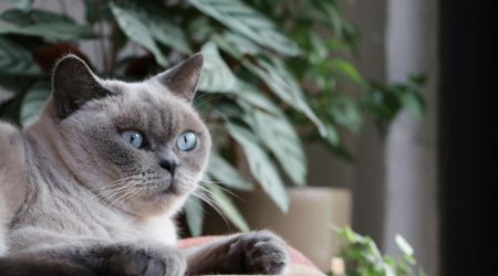 ERP企业管理软件有哪些