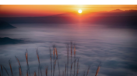 移动优先索引：如何确保你的网站符合要求