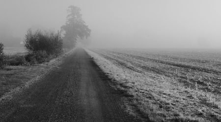 什么是线性归因 (Linear Attribution)