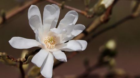 关键词用什么符号