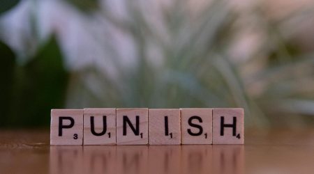 怎么样提高内页的权重