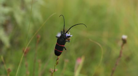 怎么样解决商品同质化