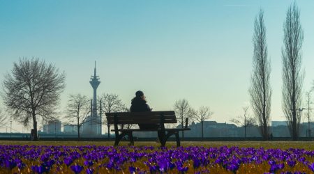 自媒体运营前景怎么样