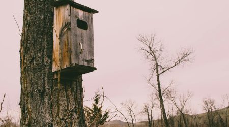 cc后缀域名怎么样