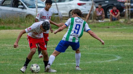 防御商标布局策略：老干妈的成功经验启示