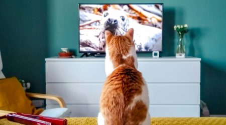 电子签章与AI结合：智能合同审查的未来趋势