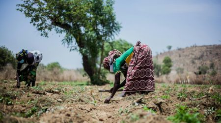 什么是社区驱动增长(Community-Led Growth)?