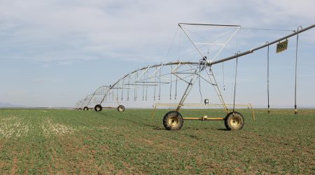 如何设计反脆弱增长体系？