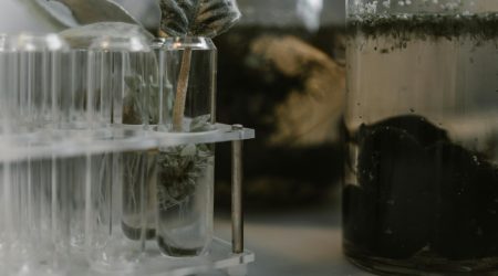 如何通过低代码工具快速搭建增长实验?