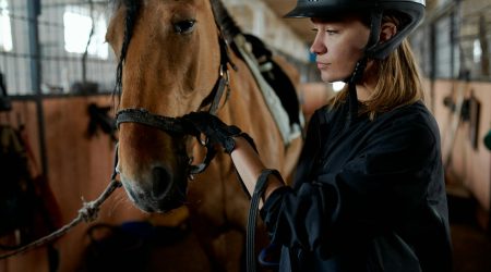 宠物ai写作软件有哪些