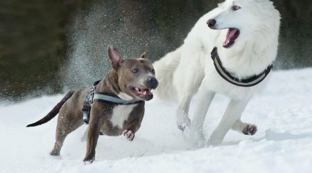 如何做好健康内容营销