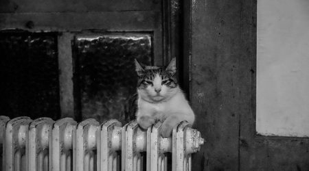 营销号找内容在哪里找的