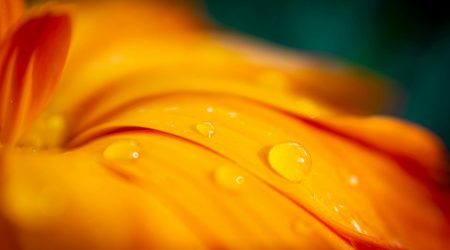 如何发微淘营销内容