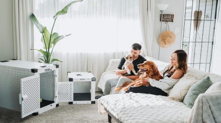 洗护产品如何做内容营销