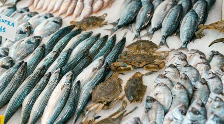 竞价销售是什么意思