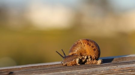 为什么网页打开慢