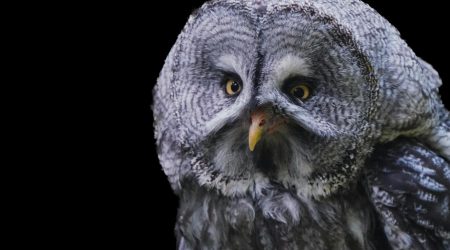 如何做域名解析