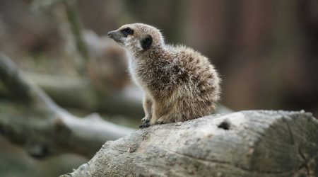 如何查看服务器日志