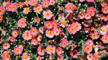 ps渐变色如何变色