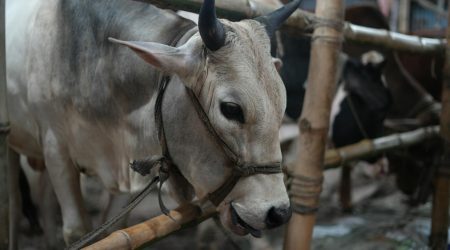 公司如何做微商城