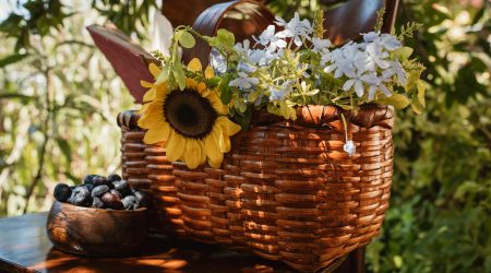 如何申请免费空间