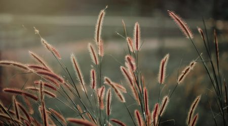 如何绑定foxmail邮箱