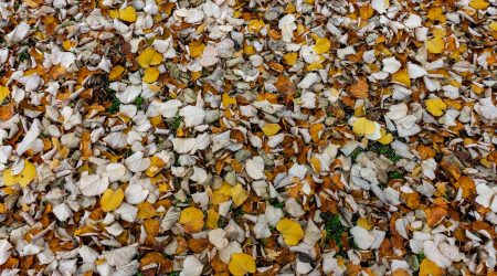 ps照片如何换底色