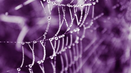 如何给网页图标