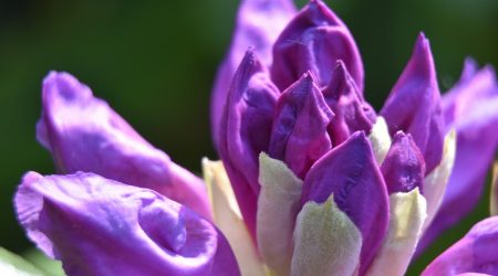 如何申请顶级域名