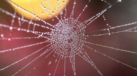 如何调整网页的结构