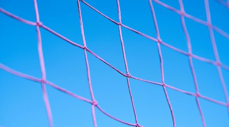 net域名什么意思