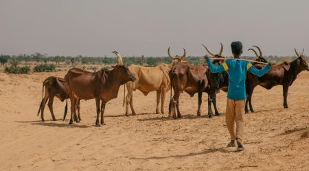 什么是出站链接