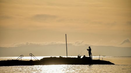 什么是诱饵链接