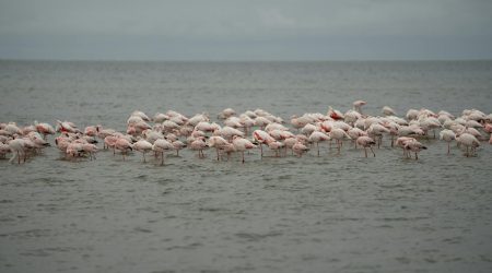 服务器迁移是什么