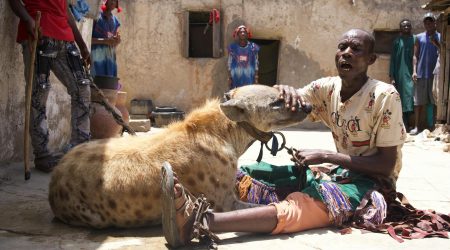 什么是国内域名