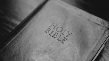 新网域名如何绑定ip