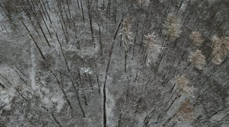 如何新建位图文件