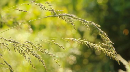 ps如何使边缘平滑