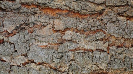 如何将模糊图片变高清