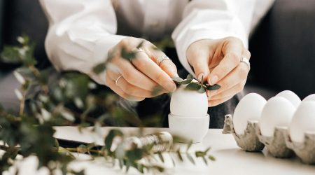 org域名如何登陆