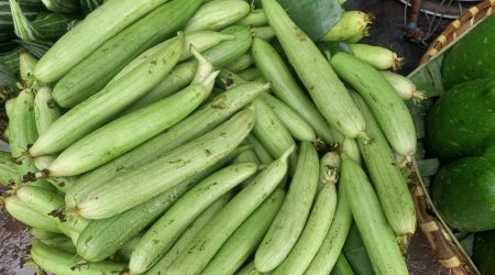 如何设置必填字段