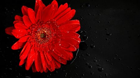 ps如何制作水滴效果