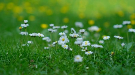 如何查看iis日志