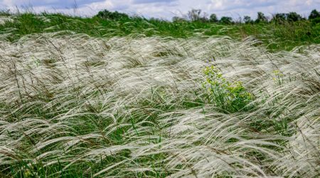 ps如何做条纹背景