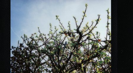 ps中如何给照片描边