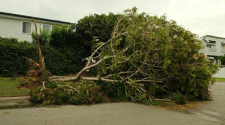 如何测试拼读障碍