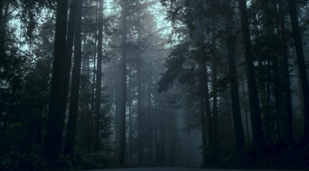 font awesome如何使用