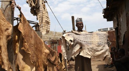 dz 如何隐藏版块